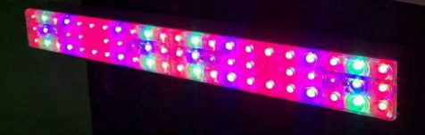 LED GROW PLANT LIGHTS .png